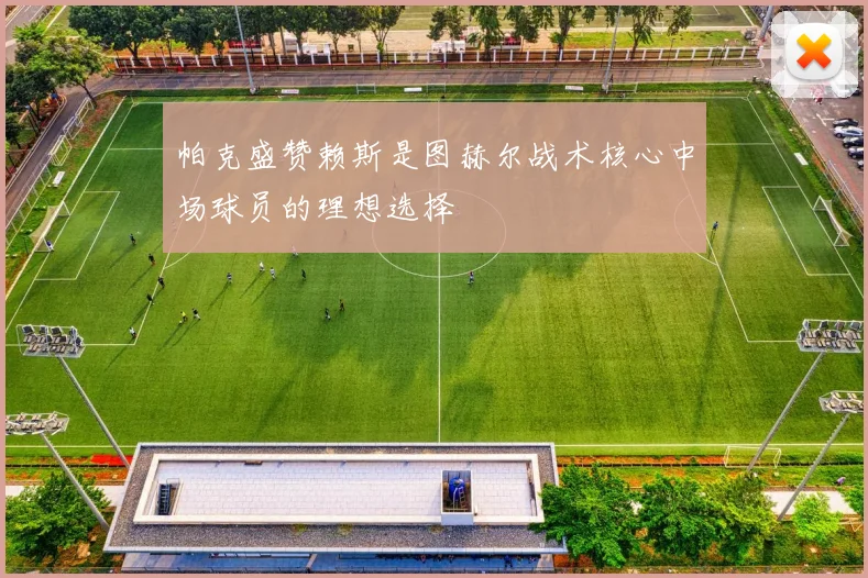 帕克盛赞赖斯是图赫尔战术核心中场球员的理想选择