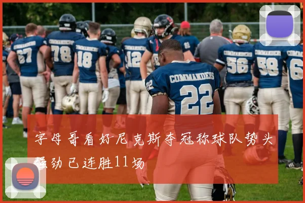 字母哥看好尼克斯夺冠称球队势头强劲已连胜11场
