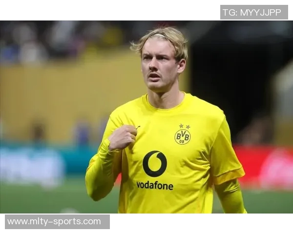 多特蒙德后防危机加剧安东安塞尔米诺或将长期缺阵