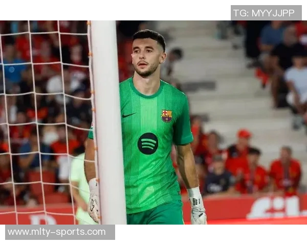 前西班牙人主席呼吁避免霍安加西亚事件重演重蹈菲戈悲剧之路